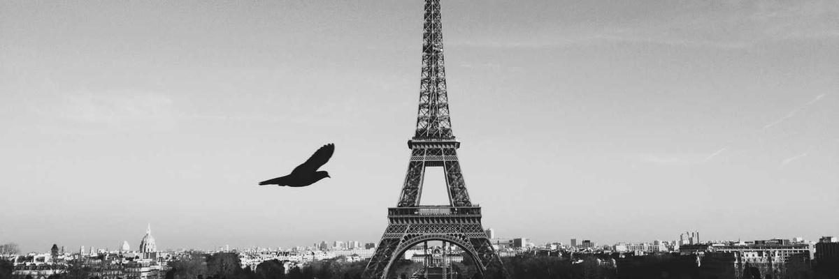 殡葬服务宣传图1