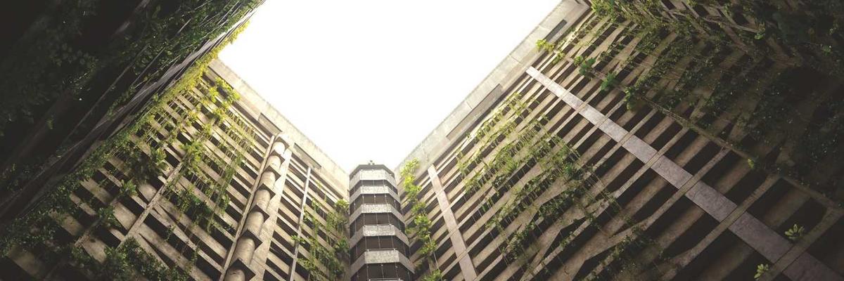 殡葬服务宣传图2